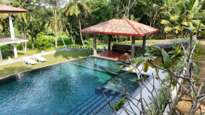 Villa Grove Shadow